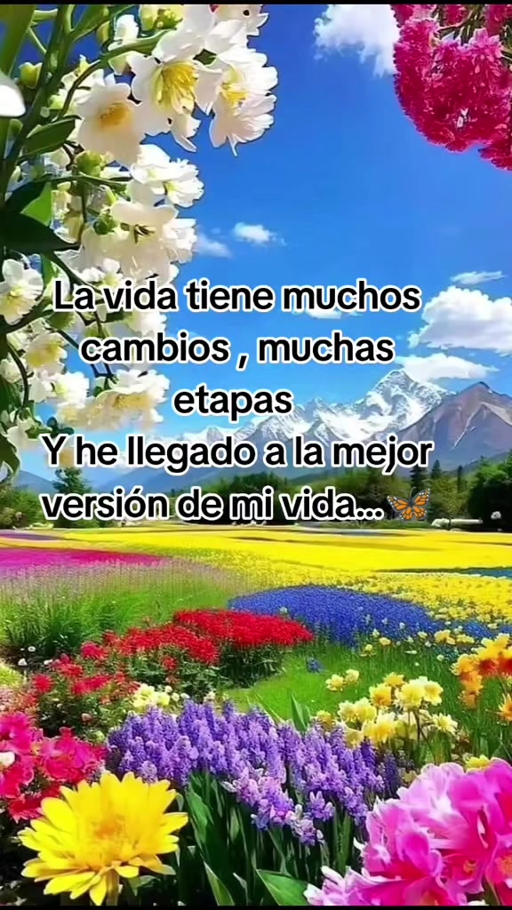 @Dalia Vicente Hernández