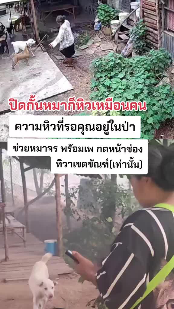 @๐๘๖๑๔o๘๓๙๖ทิวาเขตขัณฑ์