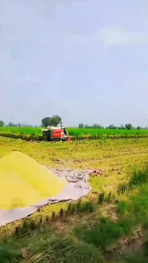 @ANEESMAYOSAB804