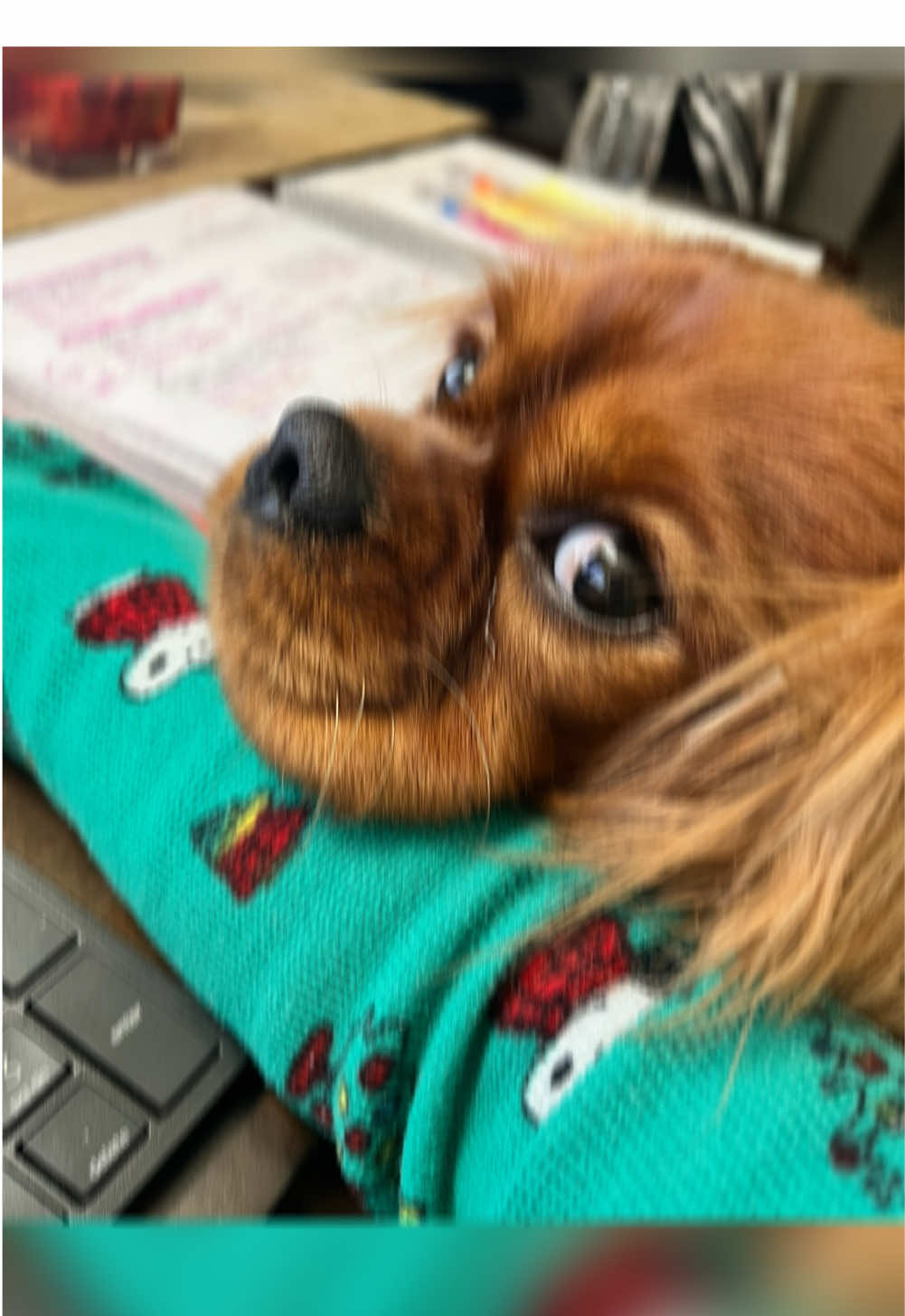 @tacos4uno