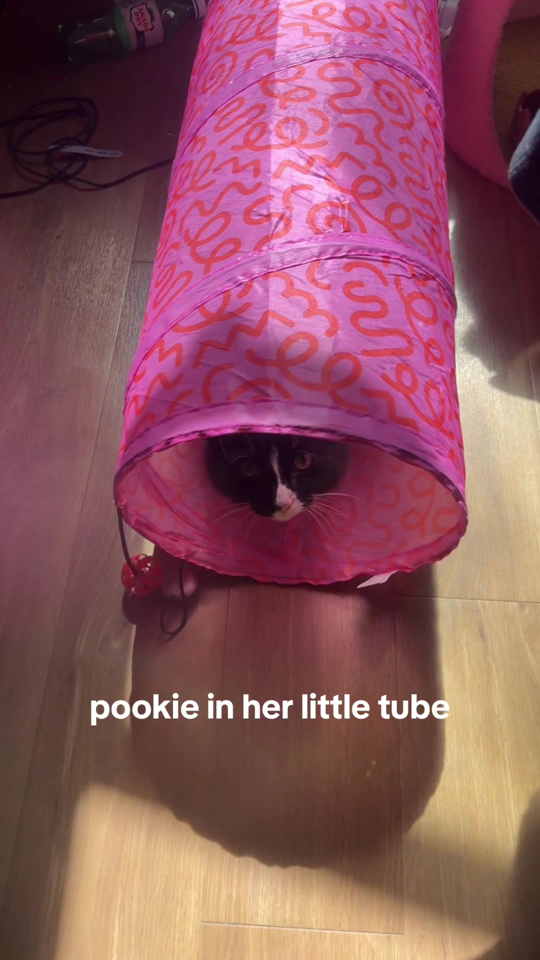 @julka
