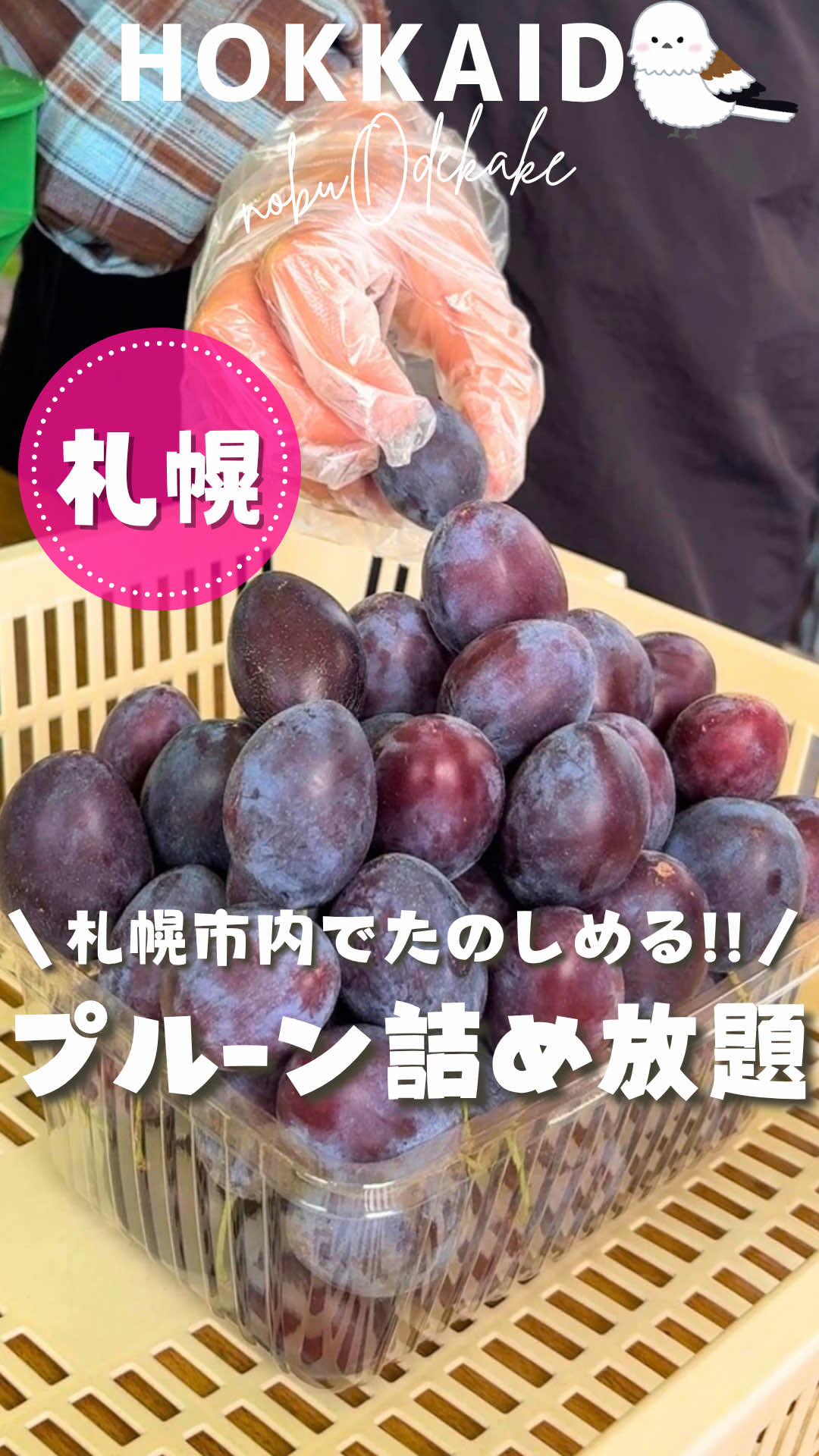 @nobu_odekake