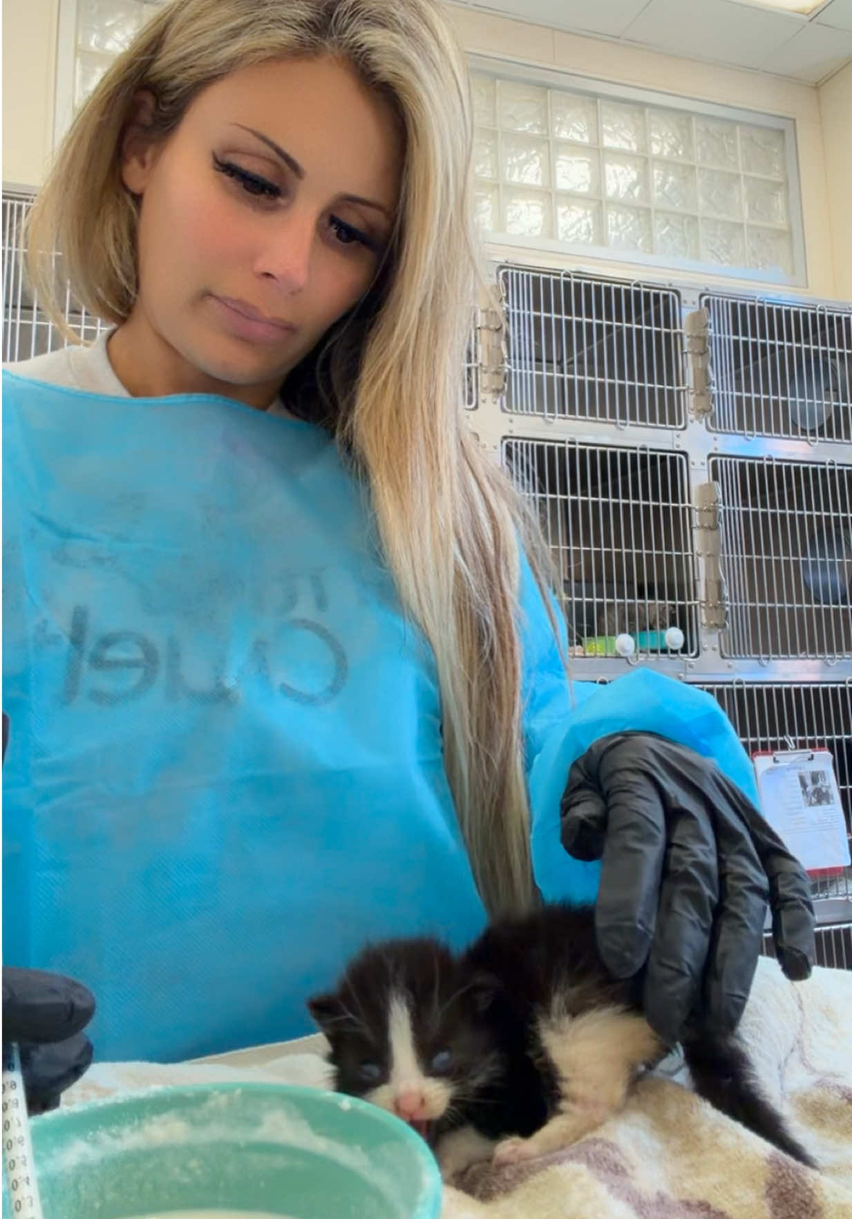 @Stachias•World👸🏼🐈🐕🦺♥️🐾
