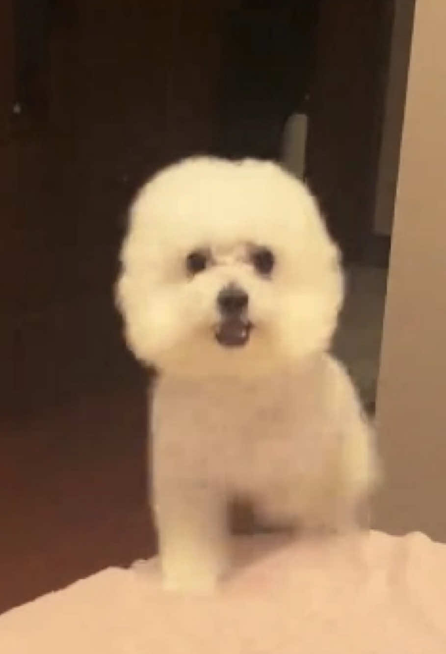 @cute.funny222