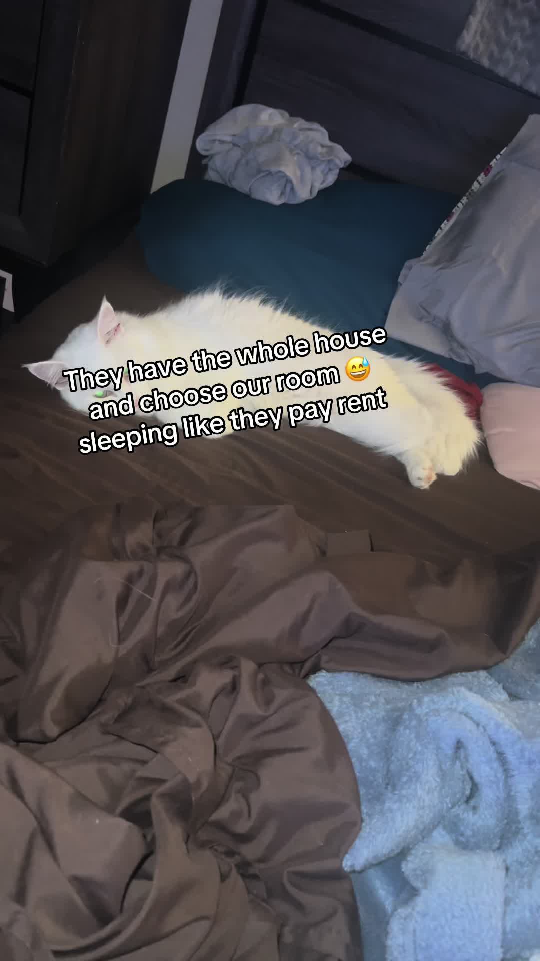 @Tasha