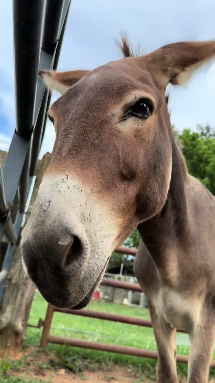 @jacksonridgefarm
