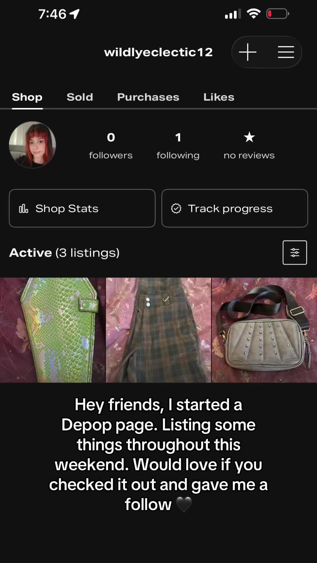 @Wildly.Eclectic