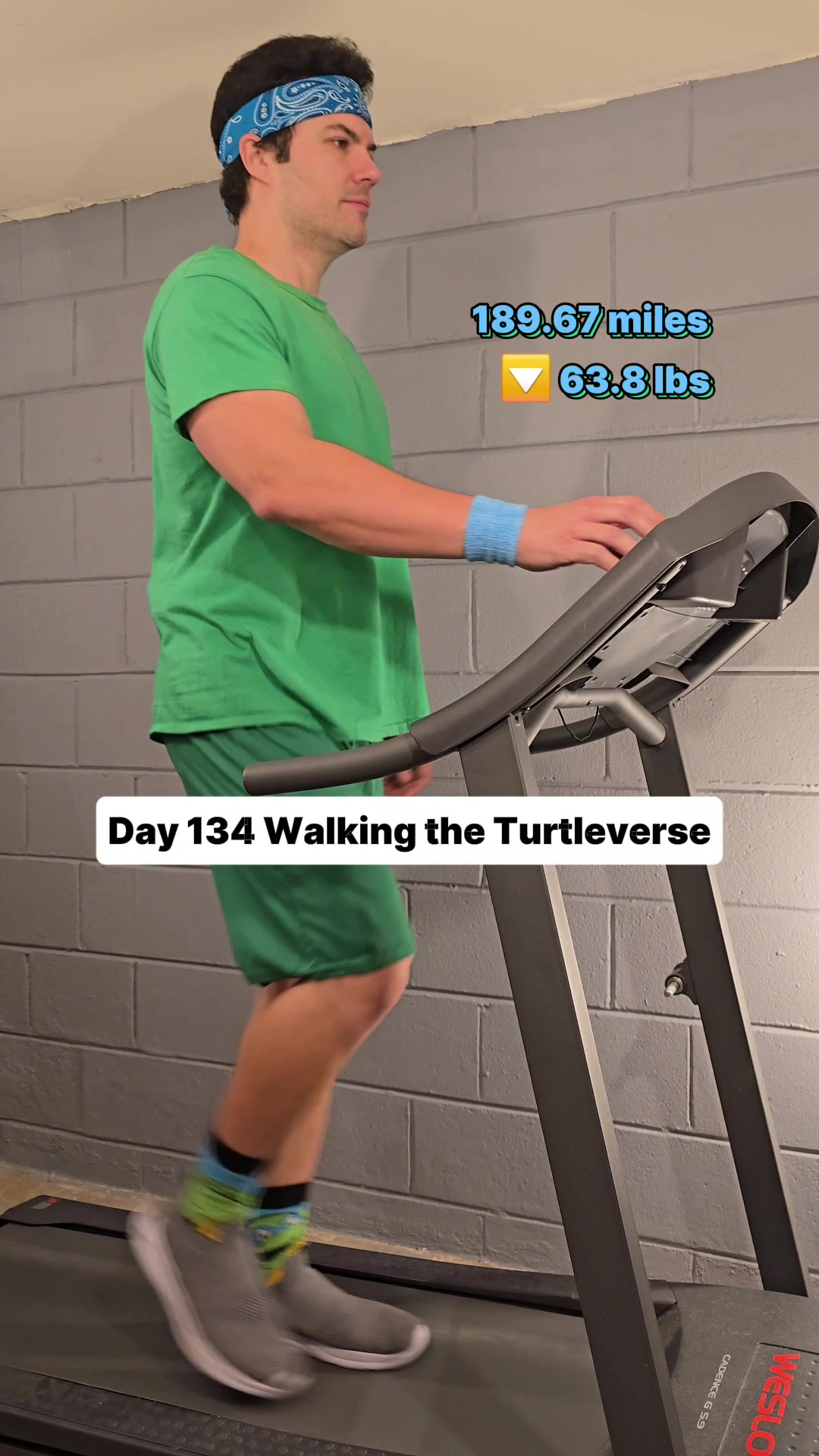 @Walking the Turtleverse
