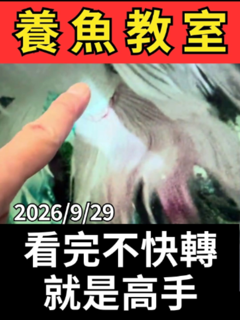@招財魚水族館