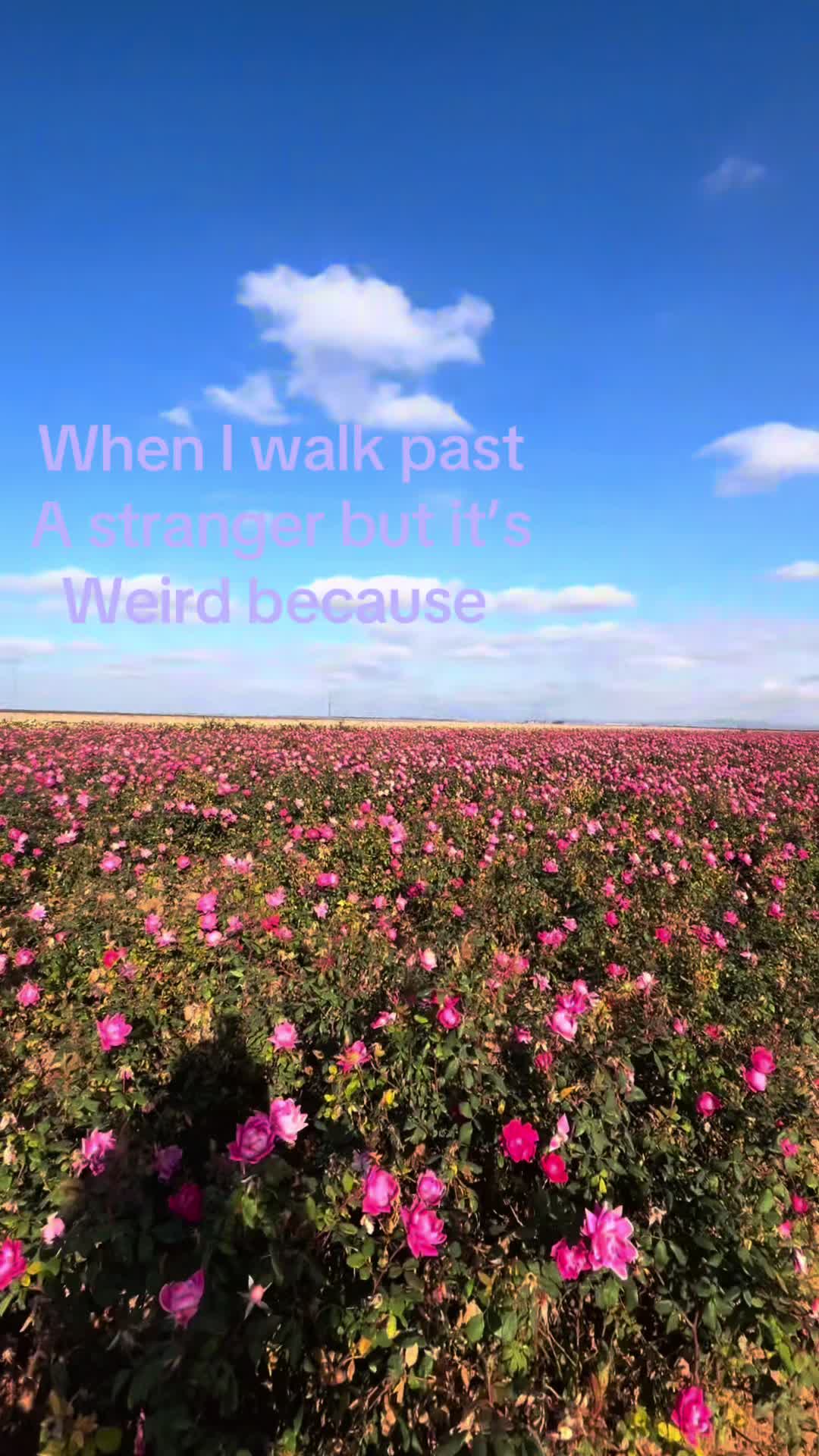 @꒰ྀི১𝓘𝓽𝔃.𝓑𝓲𝓪𝓷𝓴𝓪໒꒱ིྀ