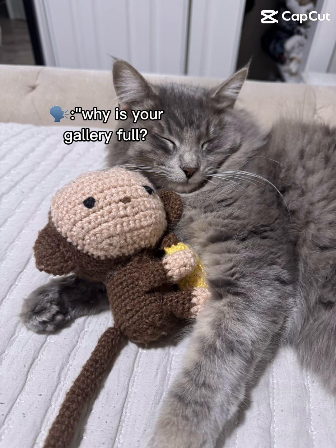 @LotsOfCat