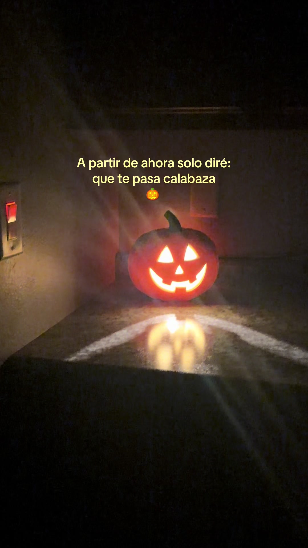 @Cari Mondragón