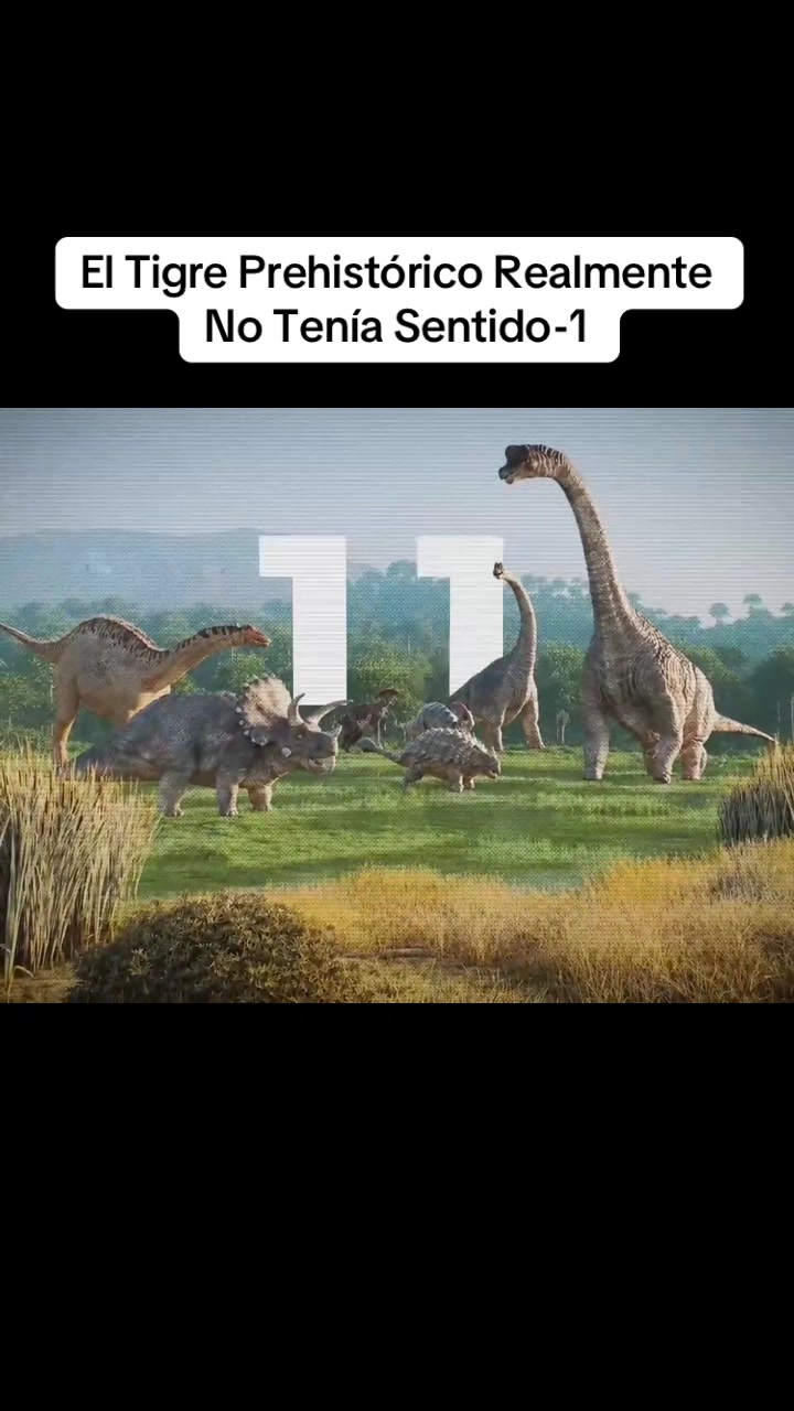 @user4076628818079