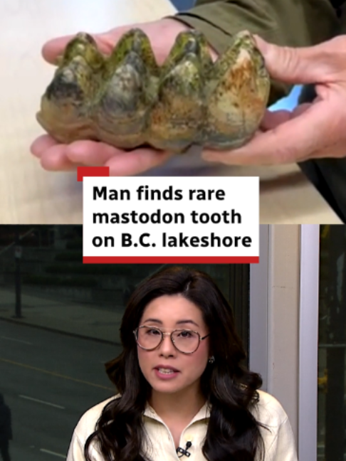 @CBC British Columbia