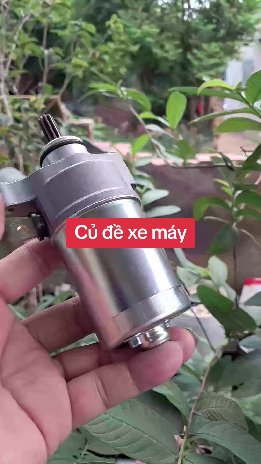 @PH&Uacute;C DƯƠNG LUXURY