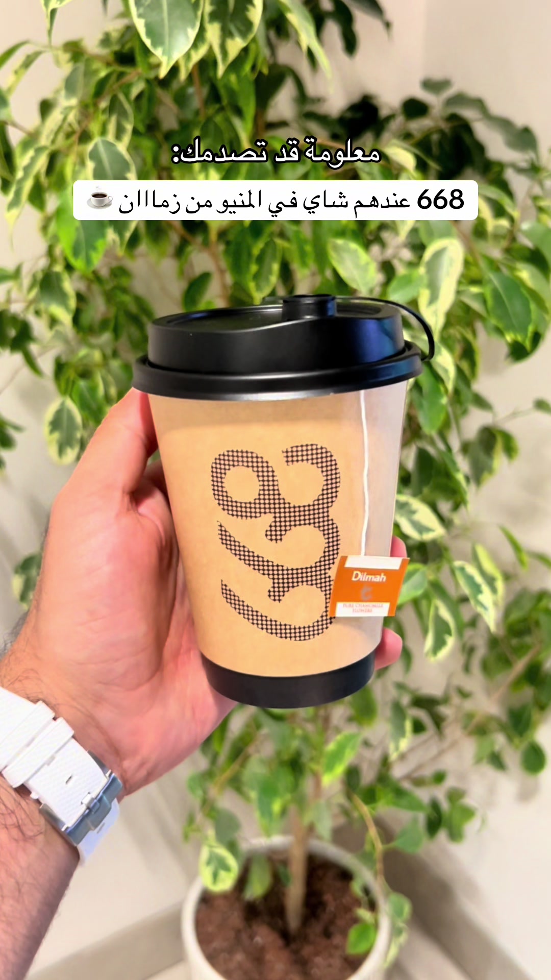 @668 cafe
