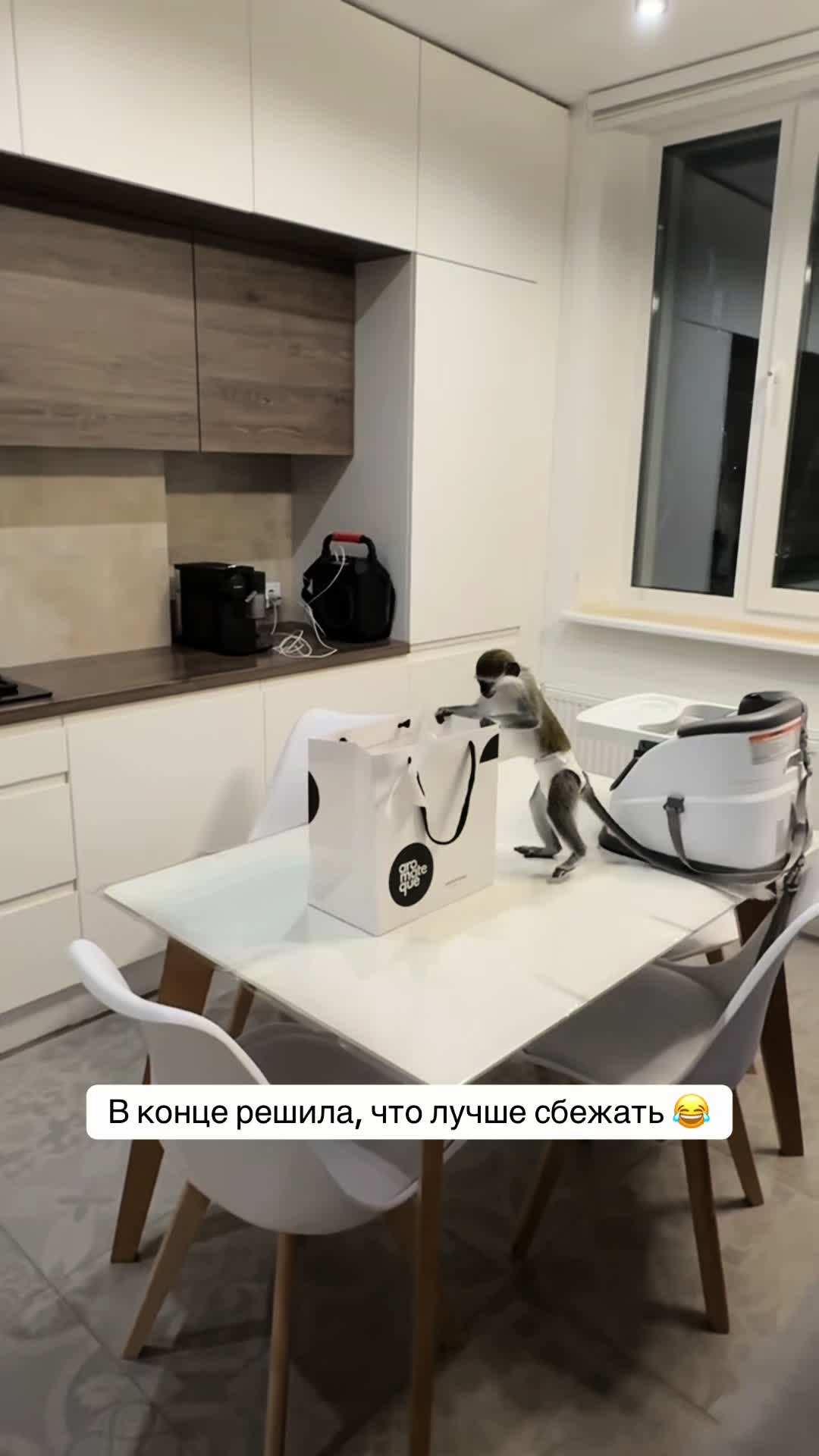 @Наталя Сапельник