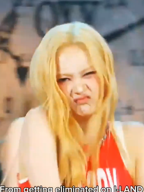 @franxkpop