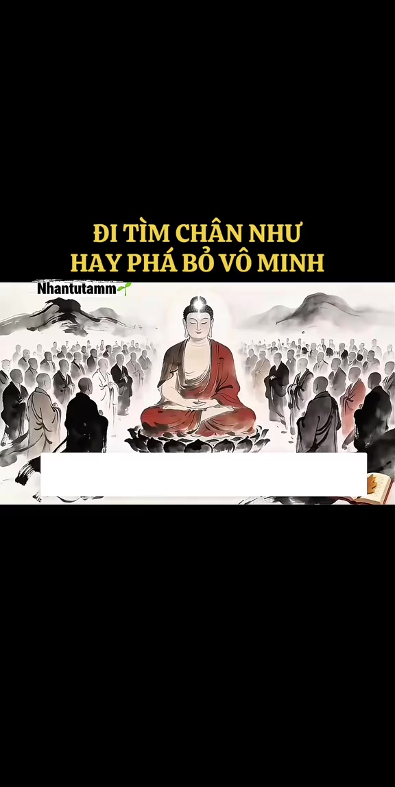 @Khoa