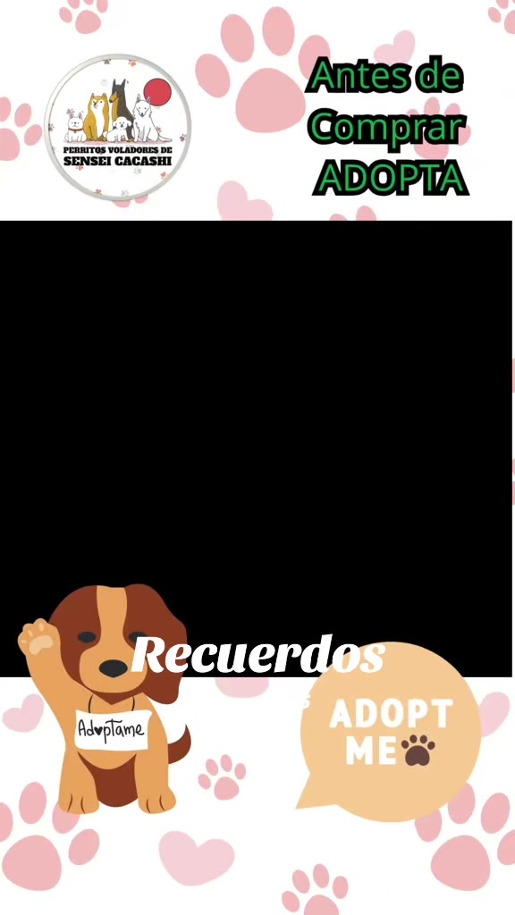 @Perritos Voladores