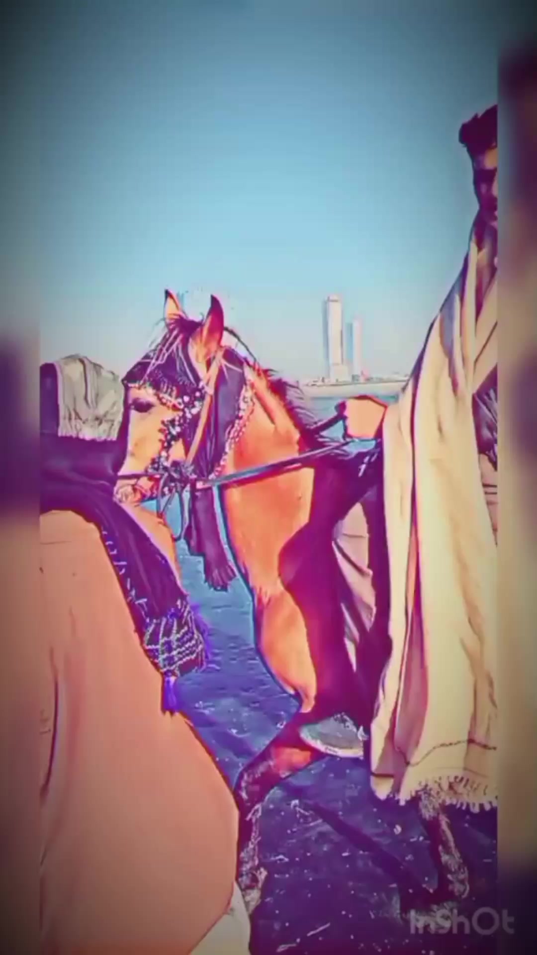 @Oman Ala  syed 💫🇴🇲💫