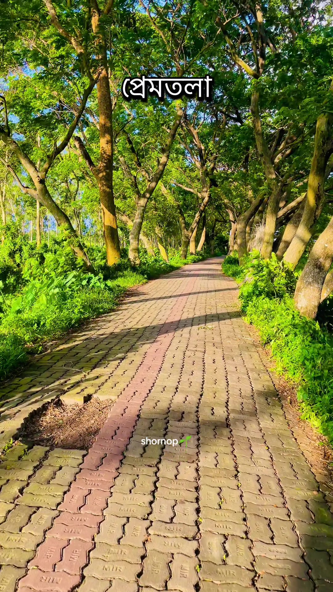@🕊️♡Տԩόɹ𝖓ό𝒑🌱🧢