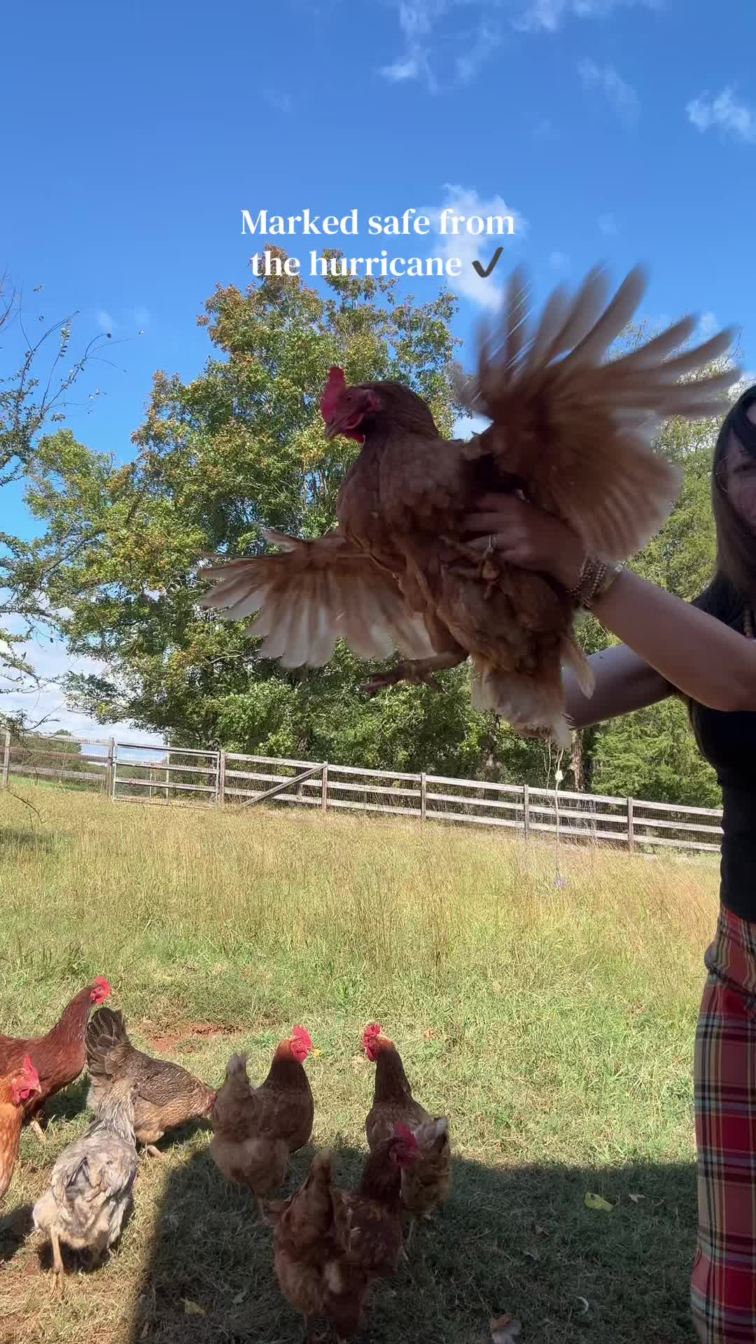 @Mindy | Pretend Farmer