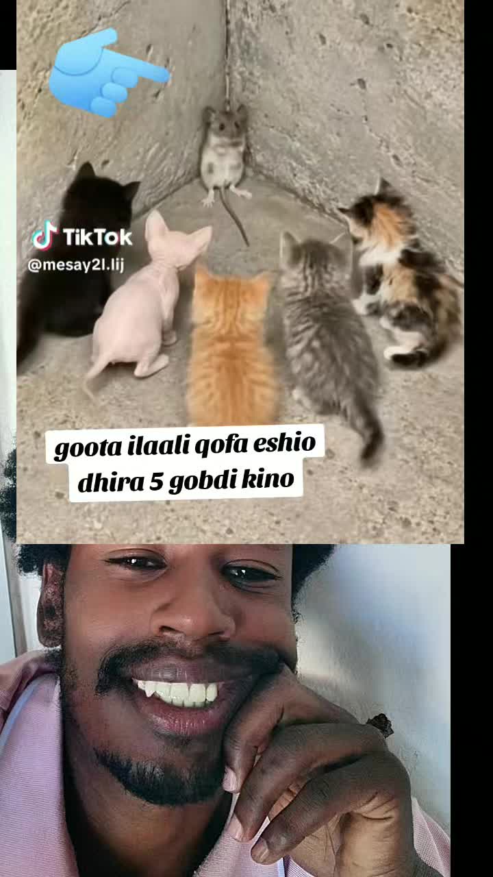 @Gemta