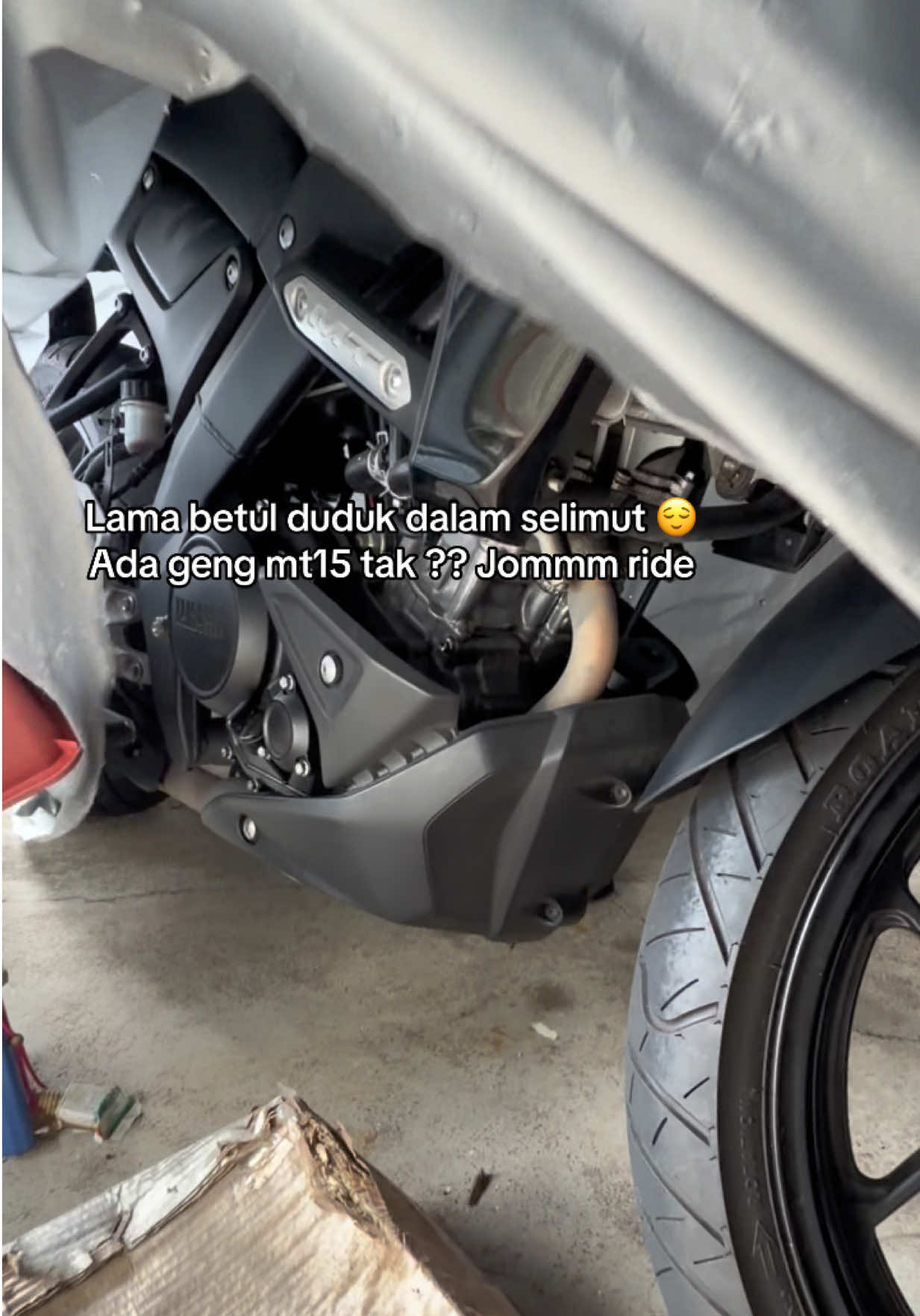 @Zaza Mansor
