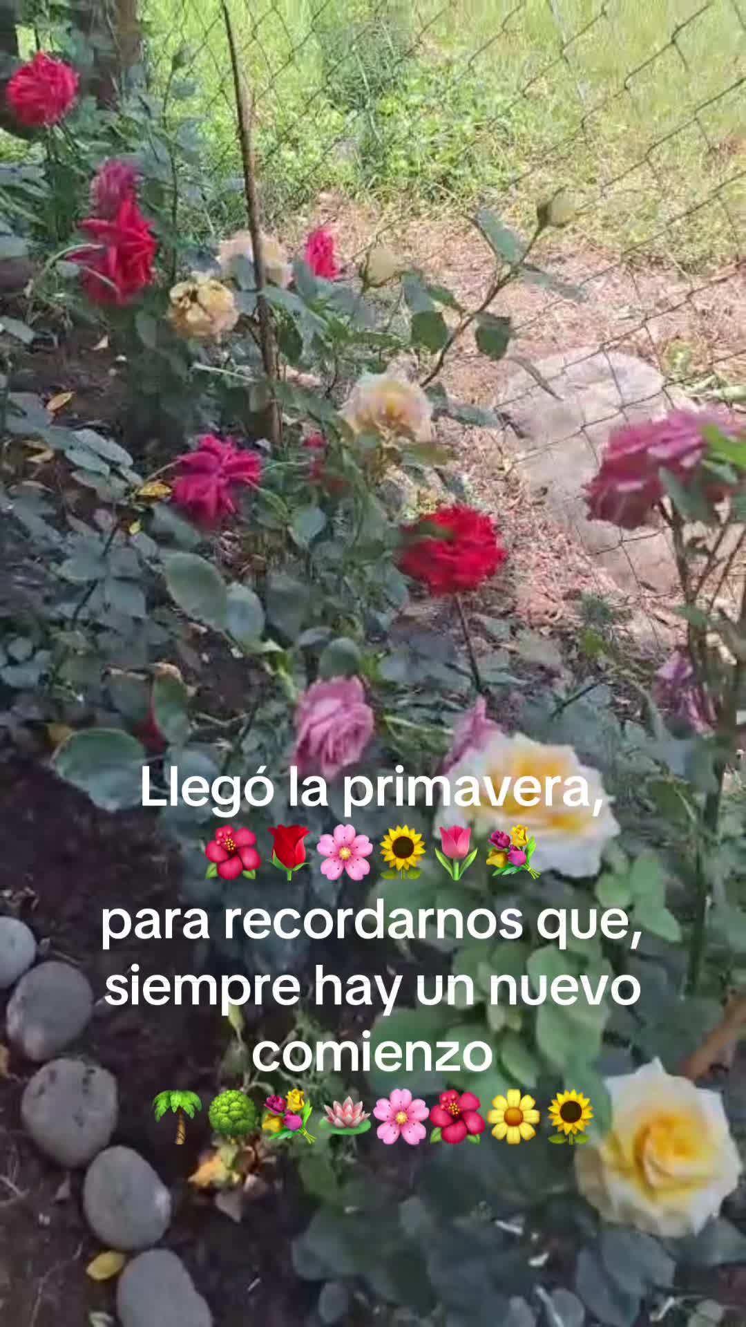 @SEFE