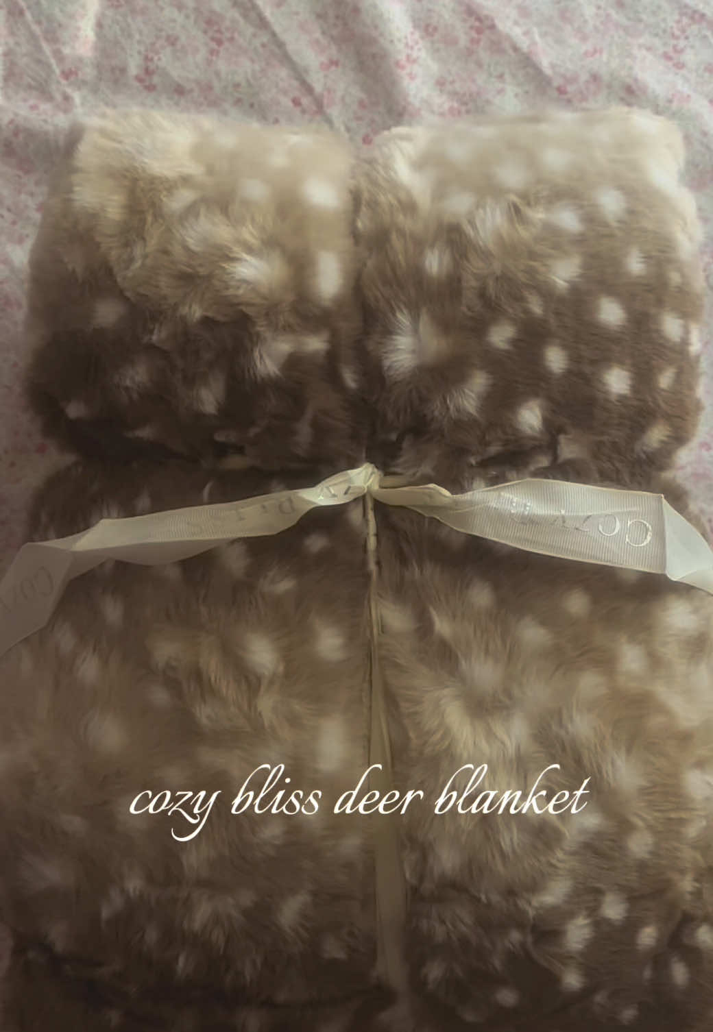 @butterfly