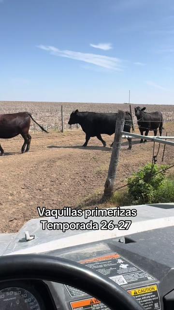 @Javier| Nebraska Ranch