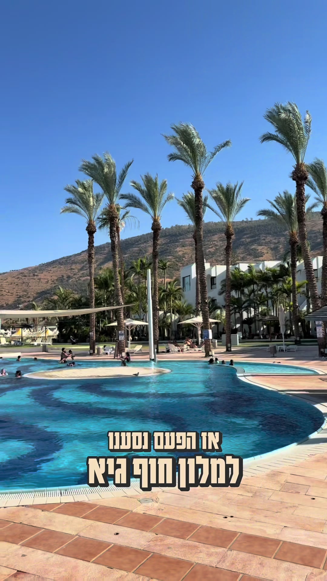@צחי אוכל את ישראל 🇮🇱