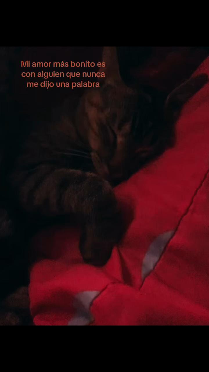 @iss.dannx😻👊🏻