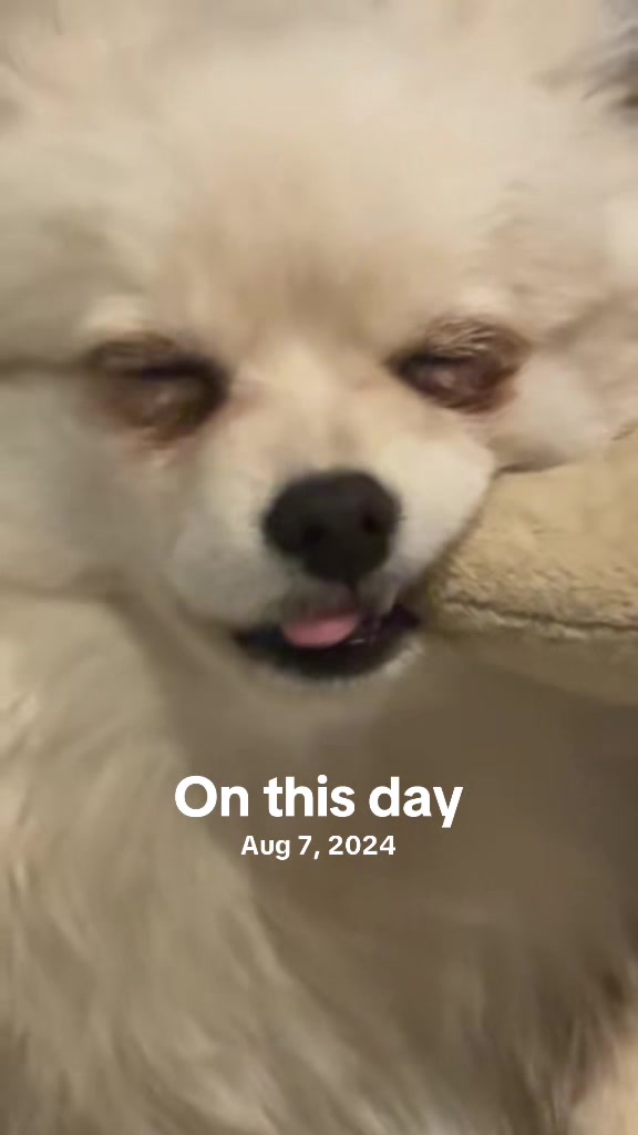 @beingmilothepom