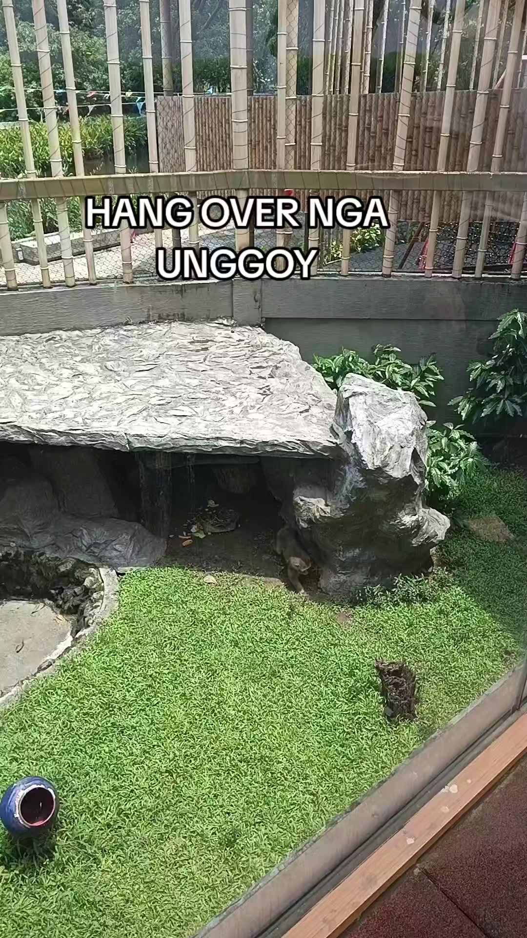 @SAGING HILAW