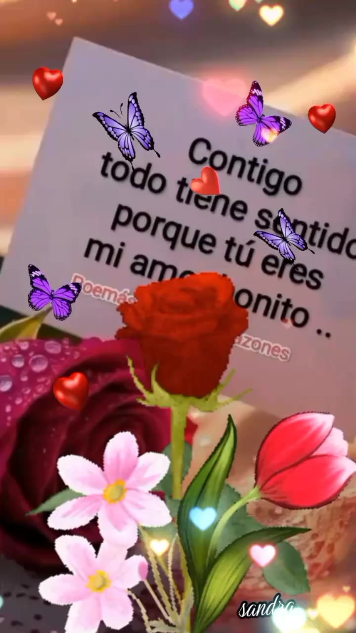 @Carmen 🌹💞