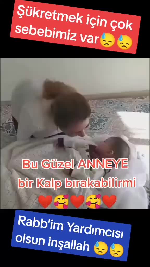 @๐ฅ๐๐๐๐๐๐_๐๐๐๐ผ๐๐๐ฅ