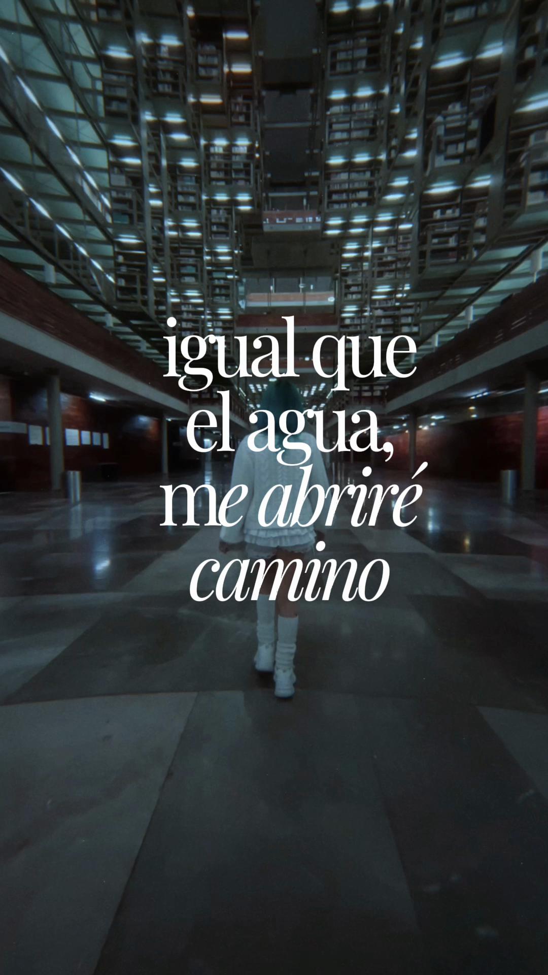 @Bebé Lunar