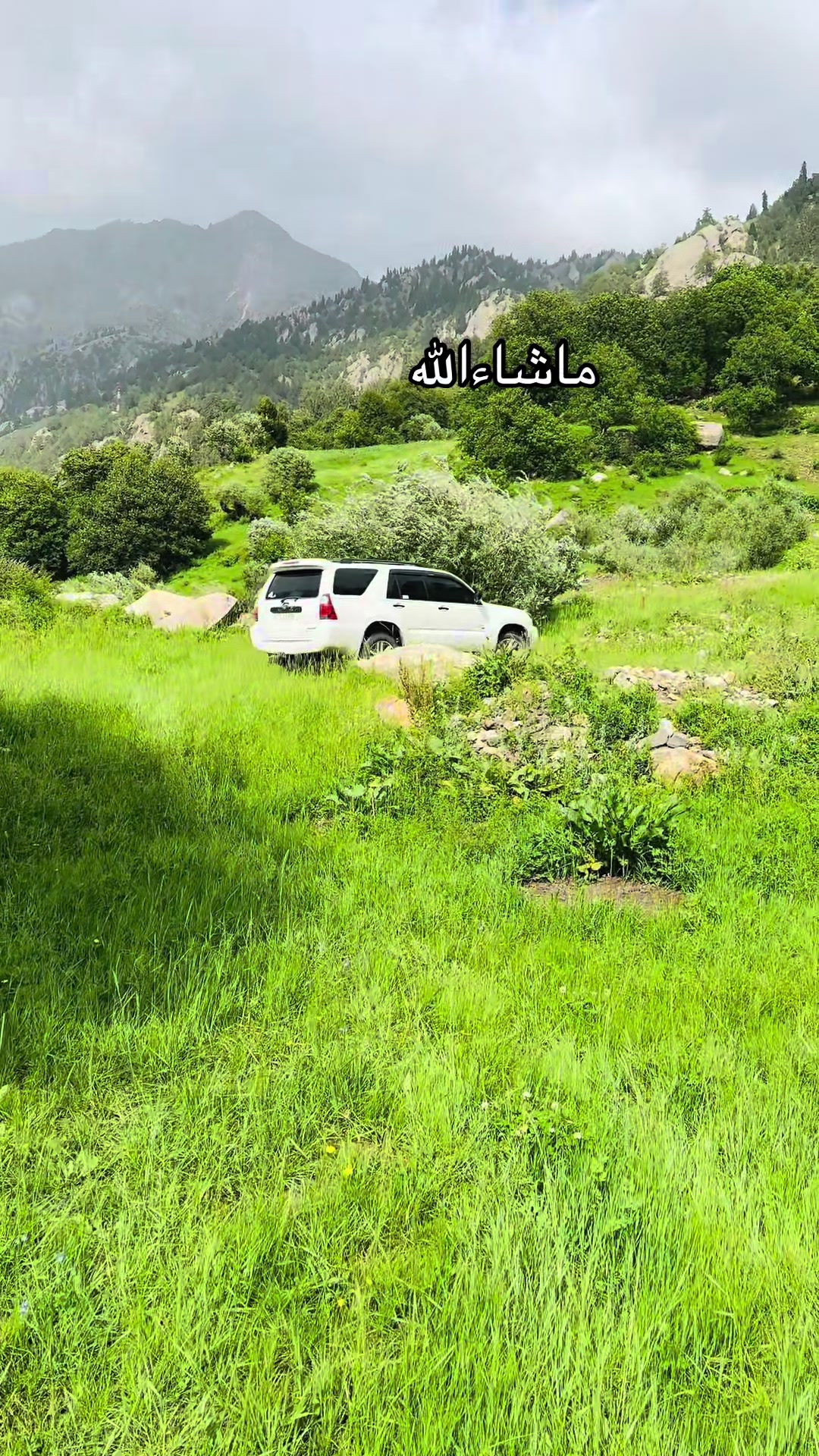 @عبــــــــدالحســــــیب💫