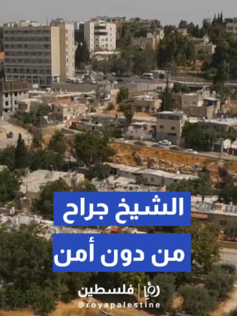 @Royapalestine رؤيا فلسطين