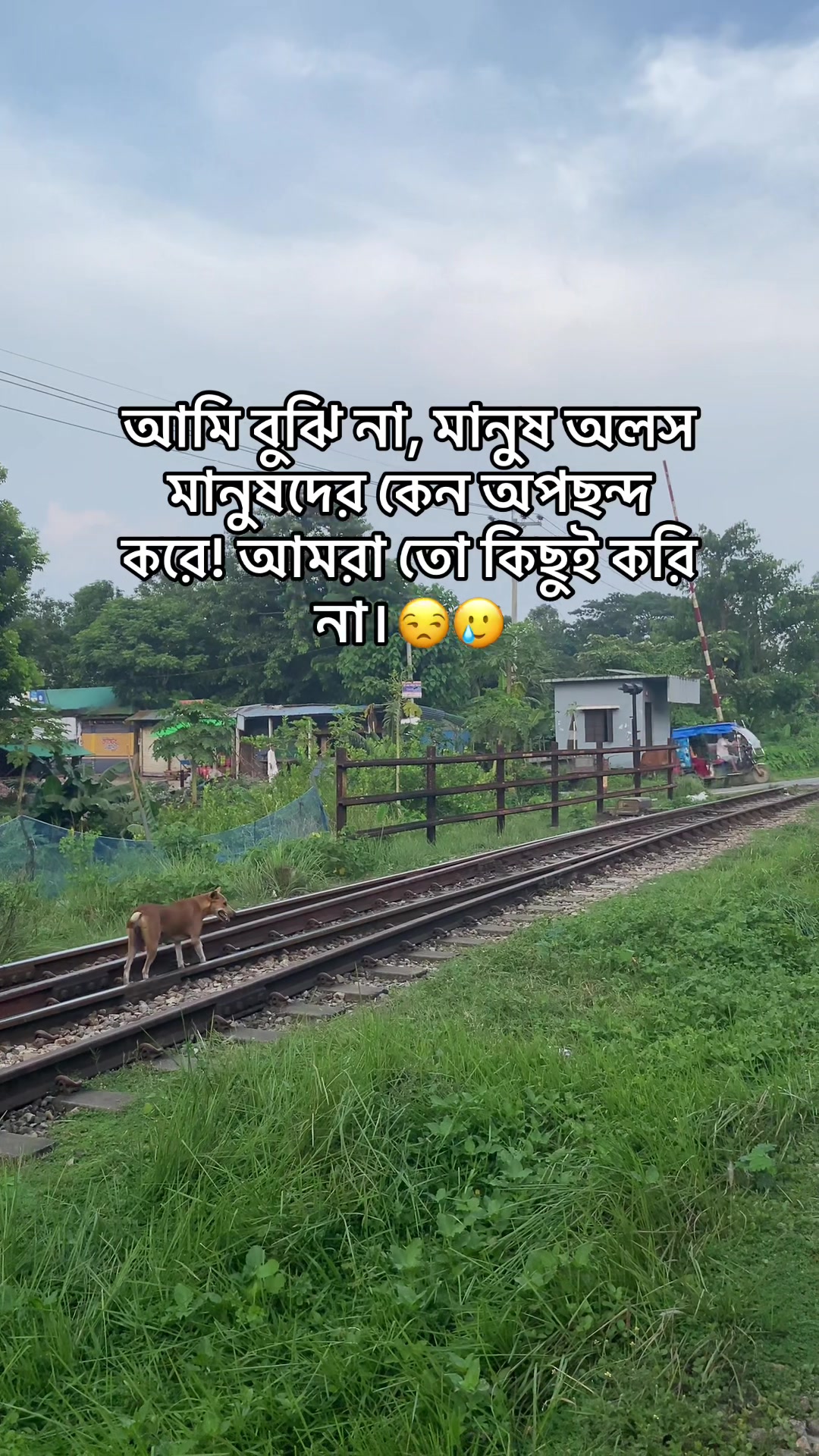 @🍷 Xhisan polash 🧃