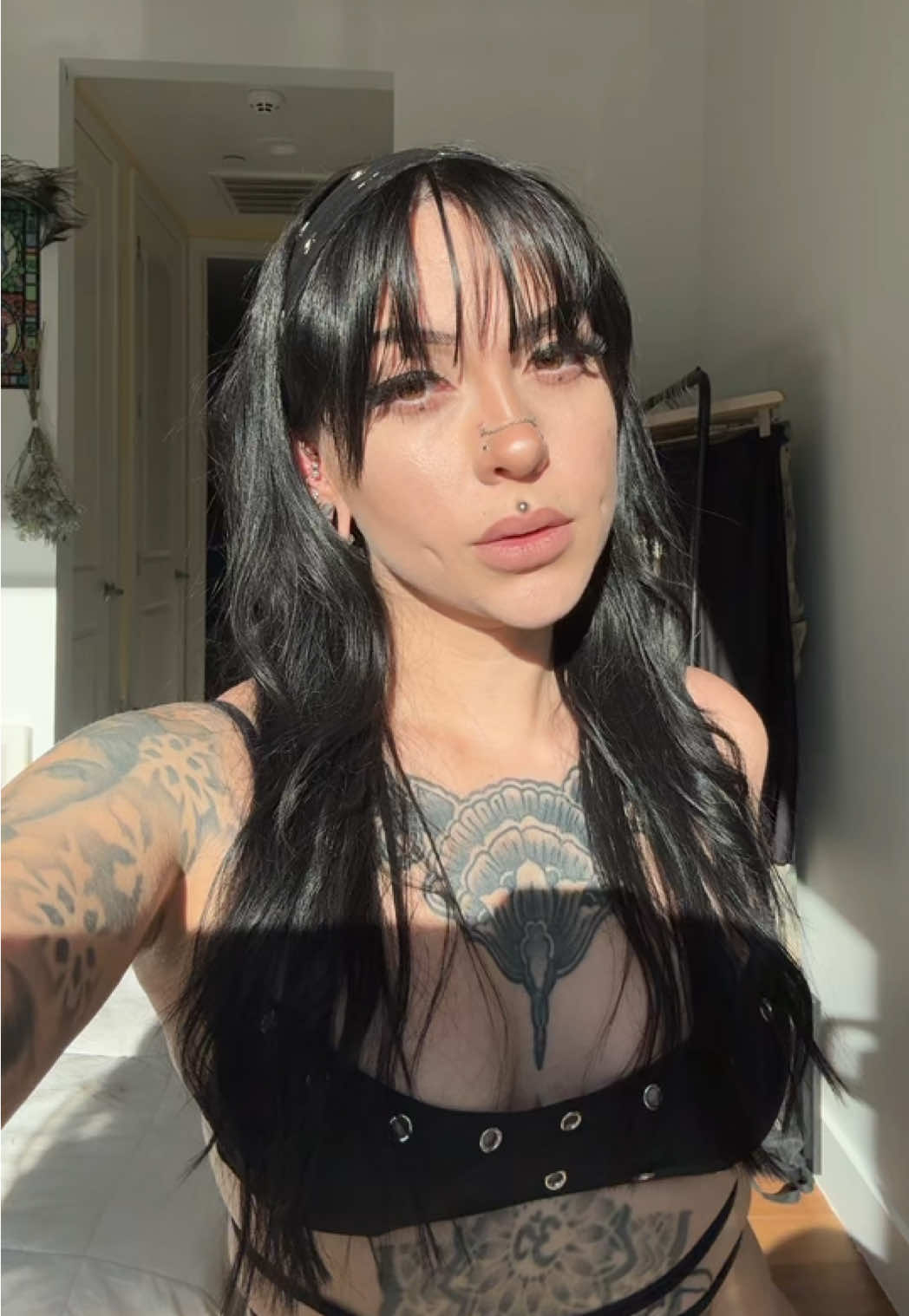 @Lunarfox_