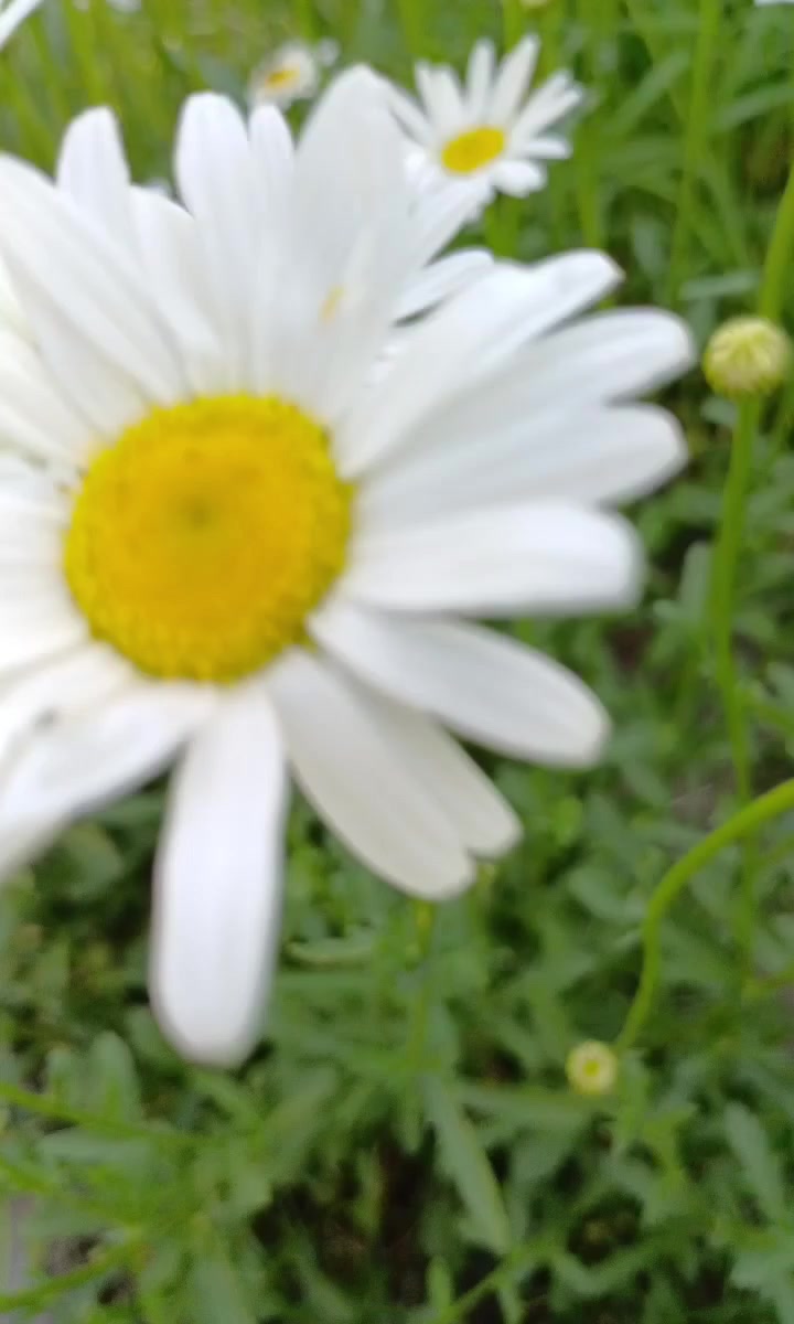 @🇰🇿🌺🌸Нᴀᴛᴀᴧья🌸Kz.16_ukg👋🤝