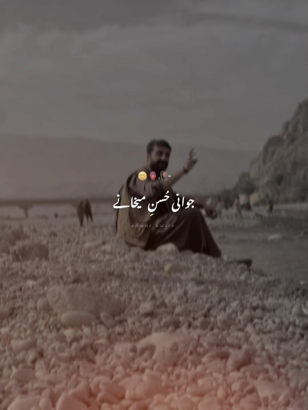 @⚡️〽️ عامِر بادېنی 〽️⚡️