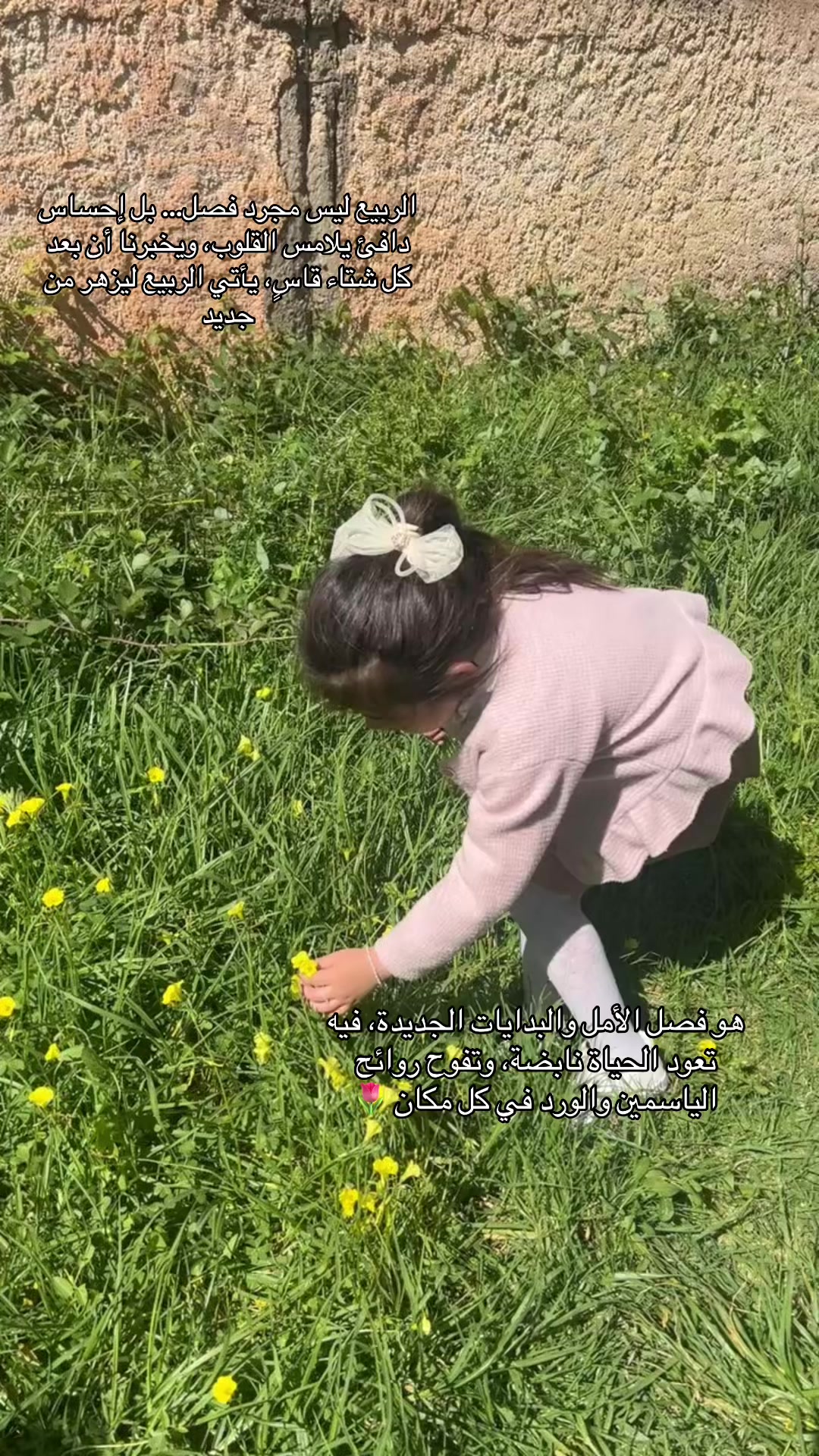 @fella_m