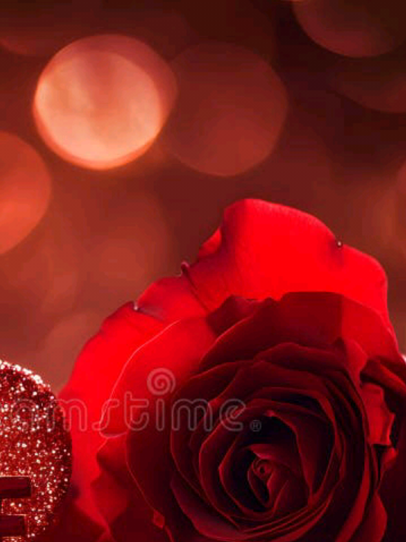 @Naaz _ Editz 🌸