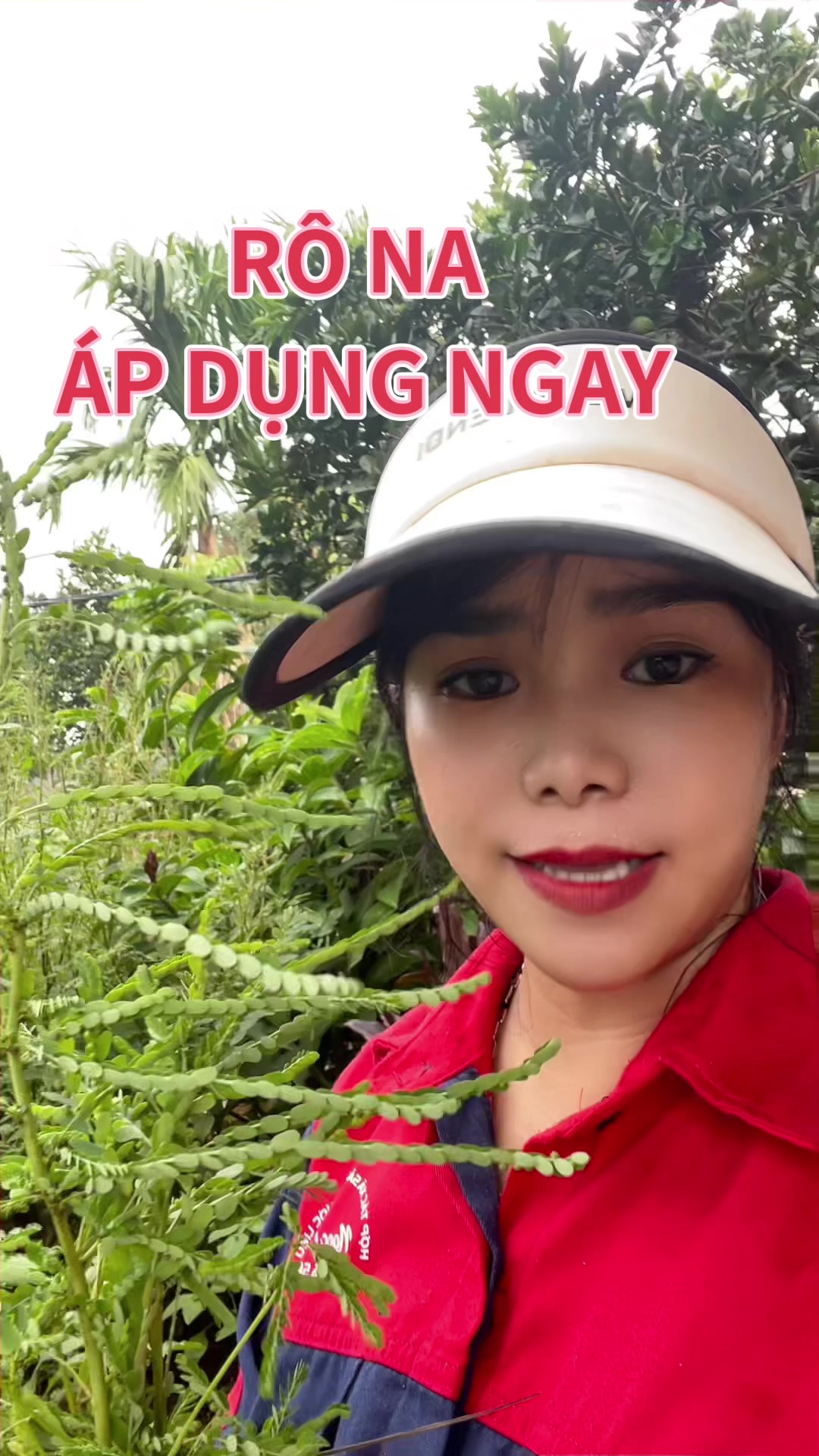 @HTX NGỌC CHINH YB