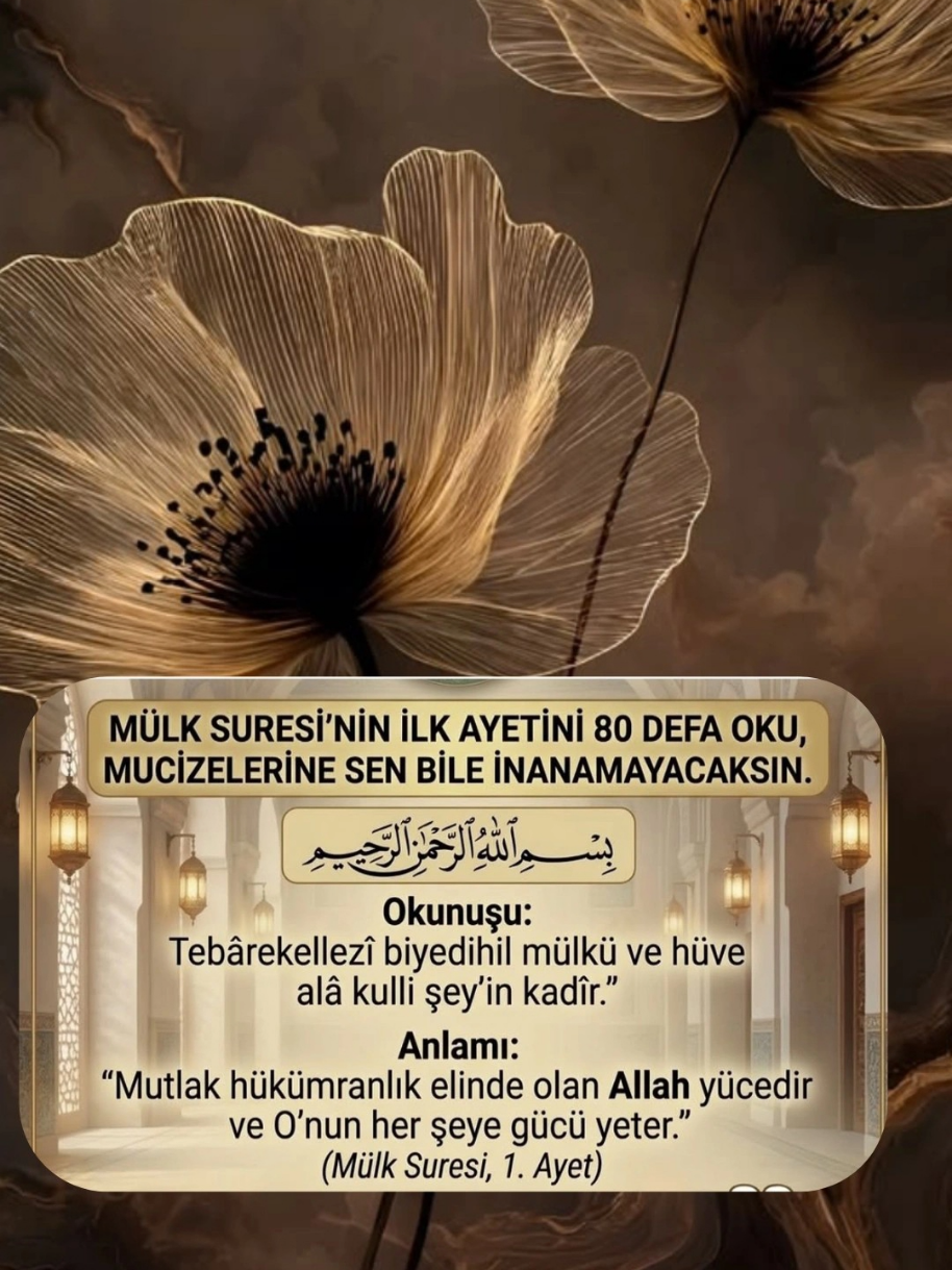 @hayat nereye gidiyor