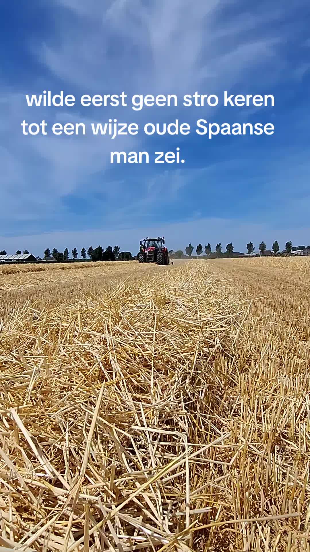 @schapenfokkerij l.kammeraad